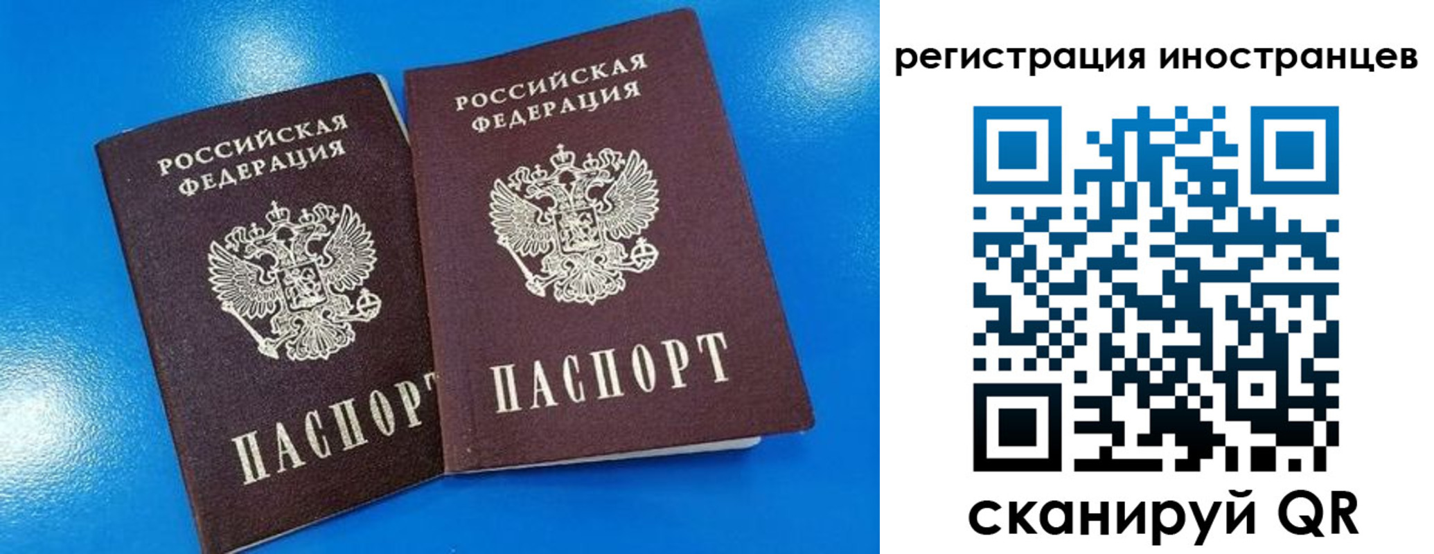 временная регистрация поиск в Советске