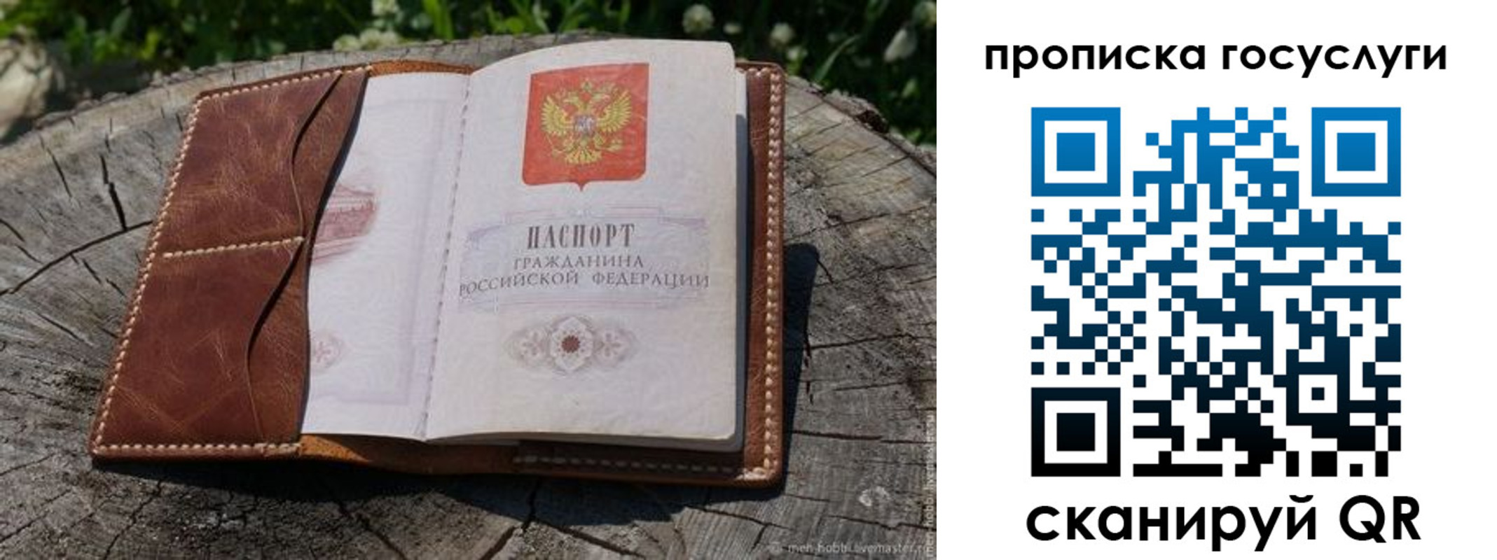 прописка для школы в Советске